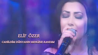 Cahildim Dünyanın Rengine Kandım  Elif Özer [upl. by Akenit]