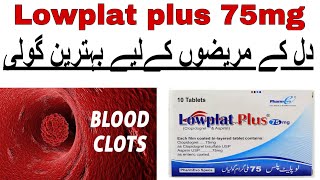 Lowplat plus 75mg uses in urdu  Clopidogrel  How to use  side effects [upl. by Honorine508]