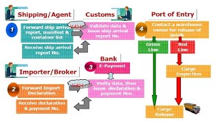 Key Steps of Import Procedure in Textile amp Garments Business [upl. by Aisela852]