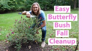 Butterfly Bush Fall Pruning Cleanup Deadheading amp Care Buddleia spp Buddleja [upl. by Brandea]