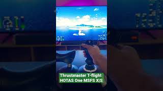 How to use Rudders Tflight HOTAS One MSFS Xbox XS [upl. by Yelrebma]