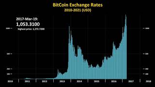 Bitcoin Price History 20102021 in 2 minutes [upl. by Orland]