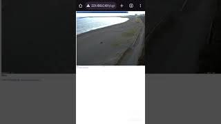 Finding Exposed Webcams with Google Dorking Part 1  cybersecurity ethicalhacking google shorts [upl. by Ahseyd]