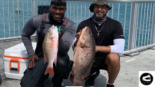 MONSTER Cubera and KEEPER Mutton Snapper Bridge Fishing in the Florida Keys [upl. by Itak822]