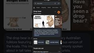 Drop bear fyp dropbear google [upl. by Anahsar]