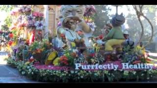 Rose Parade Minute  Fiesta Parade Floats  New Years Day Special [upl. by Ninaj]