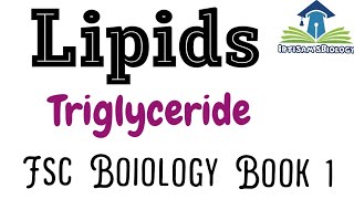 Lipids Acyl glycerol  Triglycerides  Fsc biology book 1 by irtisamsbiology [upl. by Ocisnarf920]