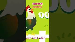 🐥 Hayvan Sesleri Şarkısı miniyoçocukşarkıları hayvansesleri [upl. by Ekud526]