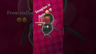 Imagine it does is a fly 😒😆💀 [upl. by Janette]