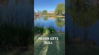 THIS PLACE BEVER GETS OLD viralvideo trending lakehouse [upl. by Metzgar]