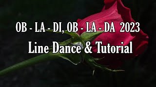 OB  LA  DI OB  LA  DA 2023  Line Dance Dance amp Tutorial [upl. by Jessy]