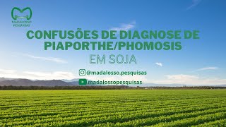 Confusões de diagnose de DiaporthePhomosis em soja [upl. by Tloc]