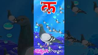 Ka se Kabutar Pigeon means Kabutar trending shorts viral [upl. by Selestina]