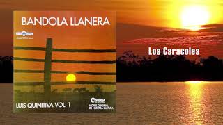 Luis Quinitiva  Bandola Llanera Vol1 Álbum  Música Llanera [upl. by Remmer]