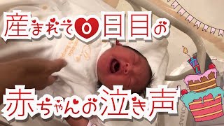 新生児産まれたての赤ちゃんの泣き声Newborn baby crying新生儿哭了नवजात शिशु रो रहा है [upl. by Sikleb909]