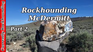 Rockhounding McDermitt  The Biggest Seam Agate Ever [upl. by Cazzie672]