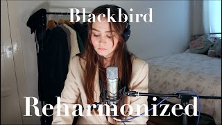 REHARMONIZED Blackbird  The Beatles [upl. by Lotsirk]