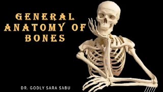 GENERAL ANATOMY OF BONES anatomy bones osteology generalanatomy [upl. by Nyladnor]