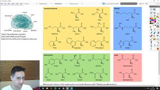 Aminosäuren Bausteine der Polypeptide [upl. by Edlin370]