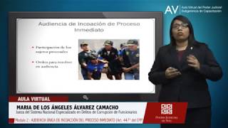 Audiencia Única de Incoación del Proceso Inmediato Art 447 del CPP [upl. by Aciret580]