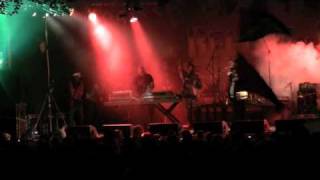 Determine amp Frisco Kid  Live  Reggae Jam 7312009 [upl. by Grosberg682]