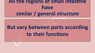 Ileum histology discussion viva questions [upl. by Arel]