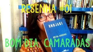 Resenha 01  Bom Dia Camaradas de Ondjaki [upl. by Cristina59]