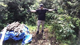 Je fais un peu de ménage puis continue à travailler sur ma devanture  diy forêt wood astuce [upl. by Erasmus]