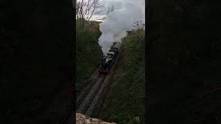 East Somerset Railway on 23rd October 2024 With GWR 4110 Climbing Mendip Bank By Bridge Part 12 👍🙂🚂 [upl. by Renat]