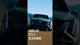 2025 Cadillac CT5V Blackwing [upl. by Renie19]