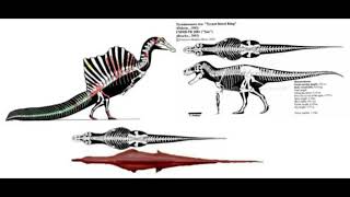 Spinosaurus skeleton all scenes [upl. by Assirek882]