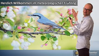 Der Frühling ist da Viel Sonne amp Wärme dann Absturz mit Gewitter Graupel amp Schnee [upl. by Llehcnom226]