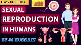 🔴🔴HUMAN FEMALE REPRODUCTIVE SYSTEM🔴🔴LEC10🔴🔴 [upl. by Mady]