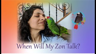 At What Age Do Amazon Parrots Start To Talk [upl. by Nylyoj]