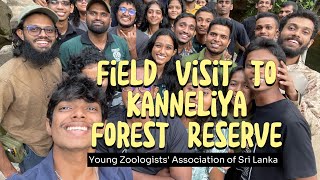 Field Visit to Kanneliya Forest Reserve  YZA  20072024 🐸🦅 [upl. by Harrod]