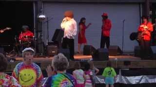 Groove Train performing their cover of Boogie Shoes in Danville Va 612013 [upl. by Nilek862]