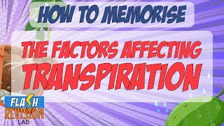 GCSE Biology Memorising Trick in 60 Seconds  The Factors Affecting Transpiration [upl. by Hewie]