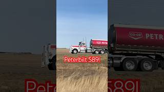 Nice Peterbilt 589 Daycab with a sixaxle super B [upl. by Alyn]