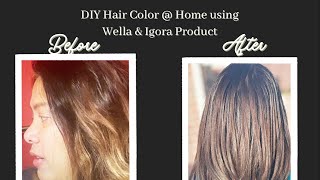 DIY Hair Color using Wella 3A148 T14 amp 050 Products amp Igora developer [upl. by Aillicec]