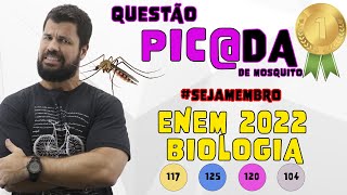 Questão mais difícil de Biologia do ENEM 2022  Na figura aleatória está representado o mosaicismo [upl. by Eanyl795]