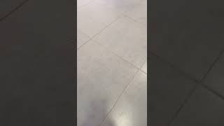 Grey Floor Tiles The Latest Trend [upl. by Tudela625]