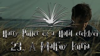 Harry Potter és a Halál ereklyéi hangoskönyv  23 fejezet [upl. by Xerxes]