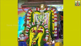 TKRamarathinam  Chokkadvadum  Panthuvarali  Rupakam  Natana Gopala Nayagi Swamigal [upl. by Esenej]