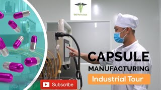 Capsules Manufacturing Process  Soft Gelatin Capsules [upl. by Jona]