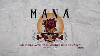 Maná ¡Rayando El Sol Tour 2019 [upl. by Dittman]