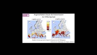 Les maladies vectorielles le Chikungunya [upl. by Nujra]