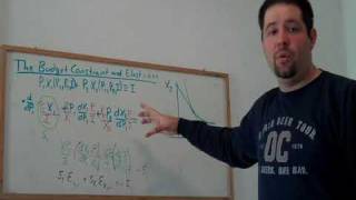 15a Budget Constraint Elasticities CalculusBased [upl. by Grous84]