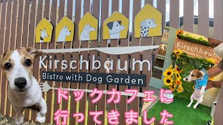 ドックカフェKirschbaumへ行ってきました [upl. by Anida84]