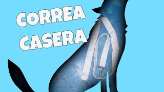 TIP CORREA PARA PERRO CASERA EN 5 MINUTOS  ANIMALTIME🐾 [upl. by Ahsela]