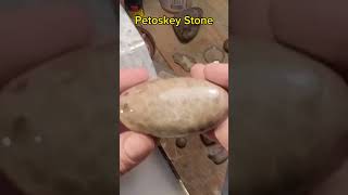 Polished Petoskey Stone [upl. by Ringo]